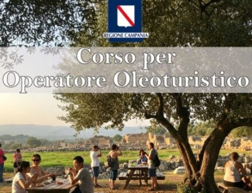 Corso per Operatore Oleoturistico 