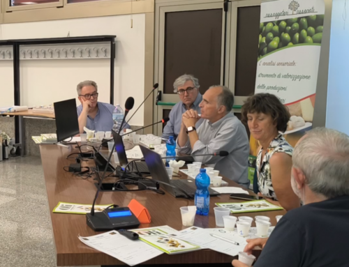 Varietà autoctone, oli monovarietali e resilienza climatica, i temi del seminario: la biodiversità olivicola italiana e gli oli monovarietali